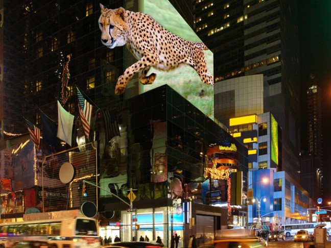 Foto: TriLite Technologies