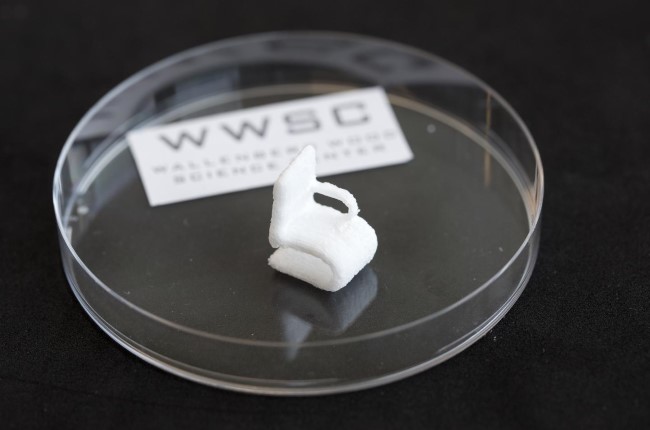 Foto: 3D Printing Industry