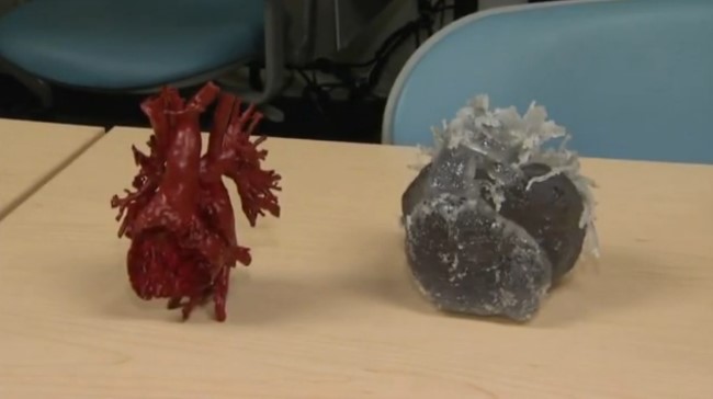 Cuori stampati in 3D. (Foto: WNDU.com)