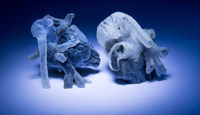 Cuori stampati in 3D. (Foto: Fortune.com)